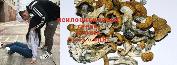 гашишное масло Кукмор