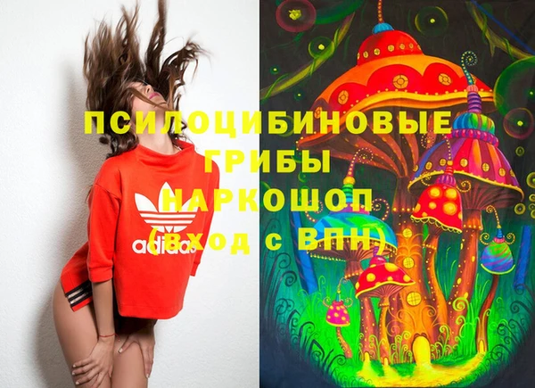 МДМА Краснослободск