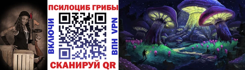 Галлюциногенные грибы Psilocybe  Купить  Тула 